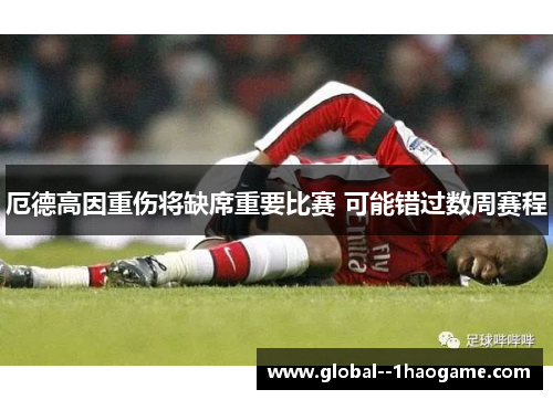 厄德高因重伤将缺席重要比赛 可能错过数周赛程